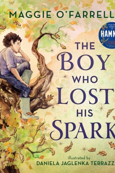 The Boy Who Lost His Spark by Maggie O'Farrell