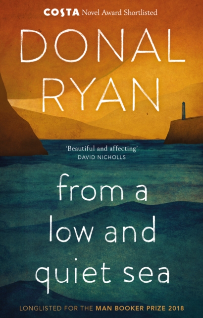 From a Low and Quiet Sea : From the Number 1 bestselling author of STRANGE FLOWERS by Donal Ryan