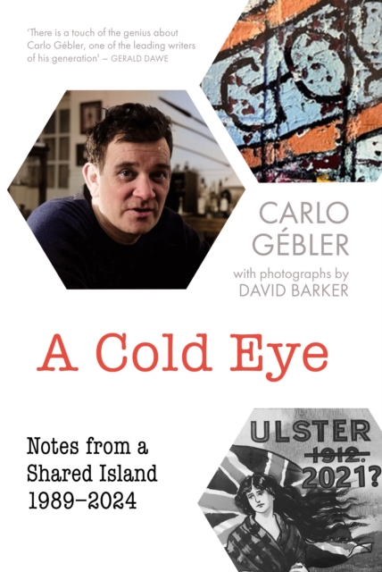 A Cold Eye : Notes from a Shared Island, 1989–2024 by Carlo Gebler