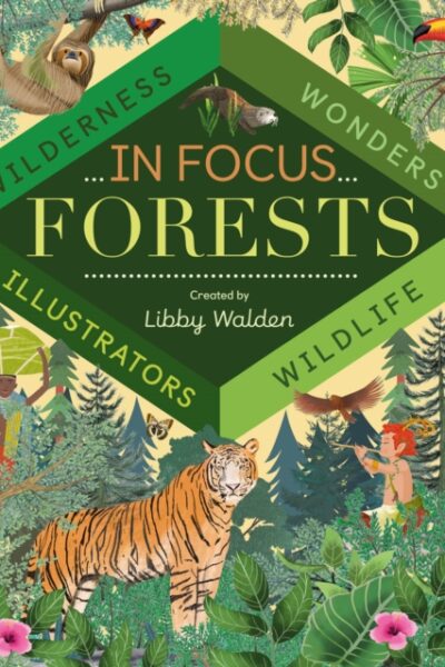 In Focus: Forests by Libby Walden