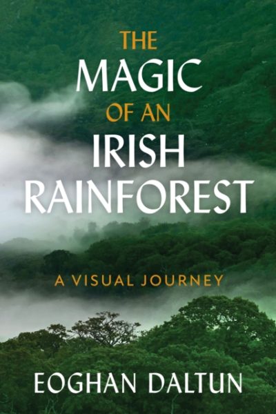 The Magic of an Irish Rainforest : A Visual Journey by Daltun, Eoghan