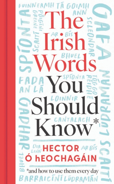 The Irish Words You Should Know : and how to use them every day by O hEochagain, Hector