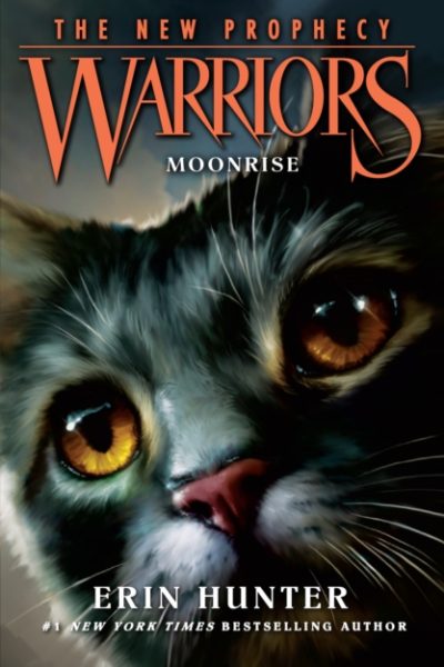MOONRISE : Book 2 by Hunter, Erin