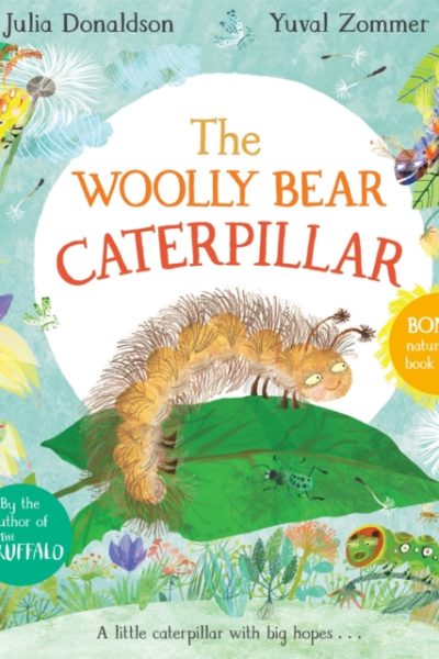 The Woolly Bear Caterpillar by Donaldson, Julia