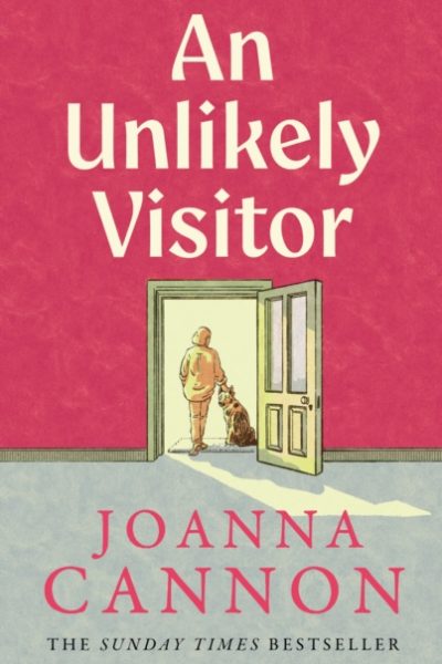 An Unlikely Visitor by Cannon, Joanna